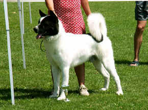 cushi_08.jpg (180982 bytes)