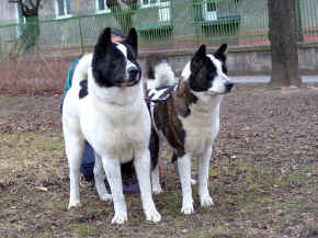 cushi_13.jpg (124472 bytes)