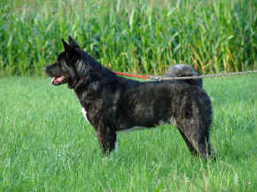 jamie_04.jpg (120083 bytes)