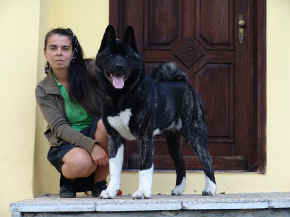 jamie_05.jpg (75590 bytes)