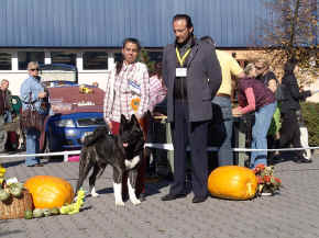 jamie_06.jpg (118837 bytes)