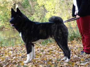 jamie_07.jpg (129694 bytes)