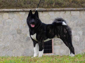 jamie_08.jpg (96109 bytes)