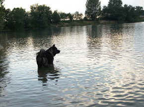 jamie_10.jpg (121150 bytes)