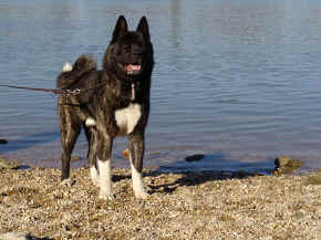 jamie_13.jpg (116542 bytes)