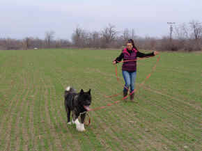 jamie_15.jpg (96340 bytes)