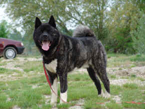 jamie_16.jpg (109624 bytes)