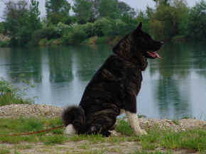 jamie_17.jpg (87840 bytes)