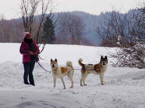 max_05.jpg (125474 bytes)