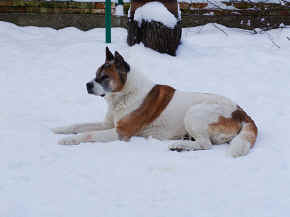 max_10.jpg (61968 bytes)