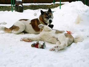 max_12.jpg (128144 bytes)