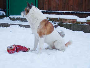 max_13.jpg (74398 bytes)