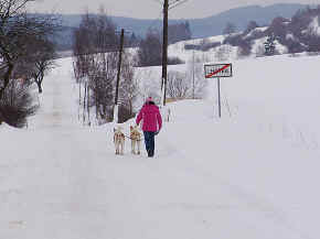 max_14.jpg (95215 bytes)