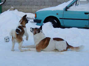 max_15.jpg (76744 bytes)