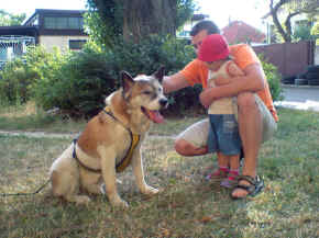 max_17.jpg (246378 bytes)